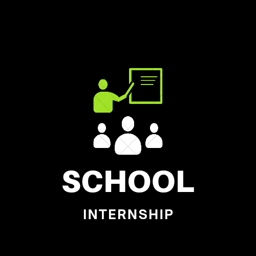 b.ed school internship